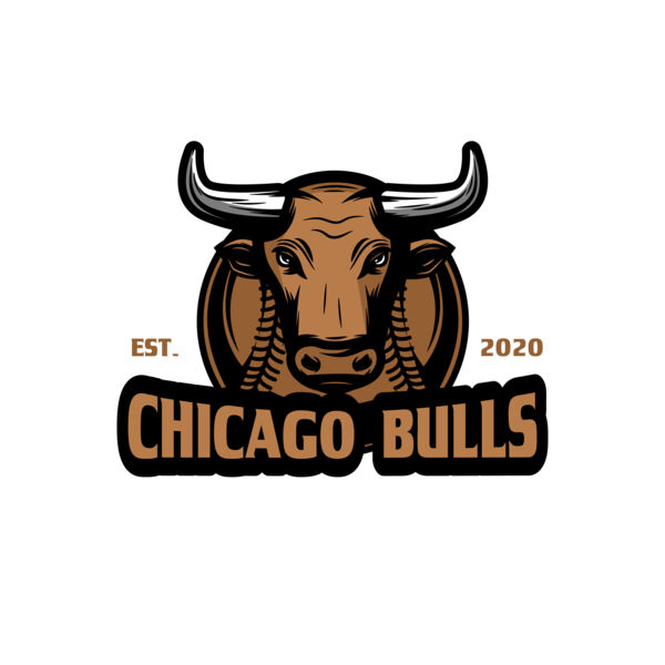 Baseball Logo Team 13 Thumbnail