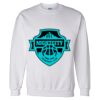 Unisex DryBlend® Crewneck Sweatshirt Thumbnail