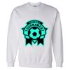 Unisex DryBlend® Crewneck Sweatshirt Thumbnail