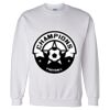Unisex DryBlend® Crewneck Sweatshirt Thumbnail