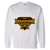 Unisex DryBlend® Crewneck Sweatshirt Thumbnail