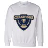 Unisex DryBlend® Crewneck Sweatshirt Thumbnail