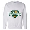 Unisex DryBlend® Crewneck Sweatshirt Thumbnail