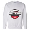 Unisex DryBlend® Crewneck Sweatshirt Thumbnail