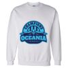 Unisex DryBlend® Crewneck Sweatshirt Thumbnail