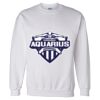 Unisex DryBlend® Crewneck Sweatshirt Thumbnail