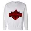 Unisex DryBlend® Crewneck Sweatshirt Thumbnail
