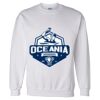 Unisex DryBlend® Crewneck Sweatshirt Thumbnail