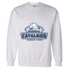 Unisex DryBlend® Crewneck Sweatshirt Thumbnail