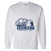Unisex DryBlend® Crewneck Sweatshirt Thumbnail