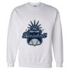 Unisex DryBlend® Crewneck Sweatshirt Thumbnail