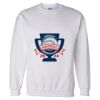 Unisex DryBlend® Crewneck Sweatshirt Thumbnail