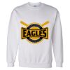 Unisex DryBlend® Crewneck Sweatshirt Thumbnail