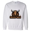 Unisex DryBlend® Crewneck Sweatshirt Thumbnail