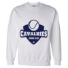 Unisex DryBlend® Crewneck Sweatshirt Thumbnail