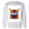 Unisex DryBlend® Crewneck Sweatshirt Thumbnail