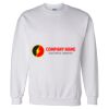 Unisex DryBlend® Crewneck Sweatshirt Thumbnail