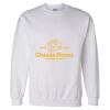 Unisex DryBlend® Crewneck Sweatshirt Thumbnail
