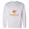 Unisex DryBlend® Crewneck Sweatshirt Thumbnail