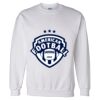Unisex DryBlend® Crewneck Sweatshirt Thumbnail