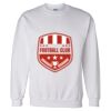 Unisex DryBlend® Crewneck Sweatshirt Thumbnail