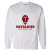 Unisex DryBlend® Crewneck Sweatshirt Thumbnail