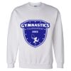 Unisex DryBlend® Crewneck Sweatshirt Thumbnail