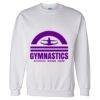 Unisex DryBlend® Crewneck Sweatshirt Thumbnail