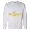 Unisex DryBlend® Crewneck Sweatshirt Thumbnail
