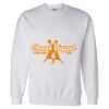 Unisex DryBlend® Crewneck Sweatshirt Thumbnail