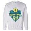 Unisex DryBlend® Crewneck Sweatshirt Thumbnail