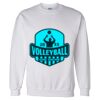 Unisex DryBlend® Crewneck Sweatshirt Thumbnail