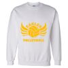 Unisex DryBlend® Crewneck Sweatshirt Thumbnail