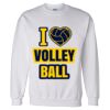 Unisex DryBlend® Crewneck Sweatshirt Thumbnail