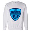 Unisex DryBlend® Crewneck Sweatshirt Thumbnail