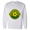 Unisex DryBlend® Crewneck Sweatshirt Thumbnail