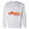 Unisex DryBlend® Crewneck Sweatshirt Thumbnail