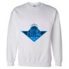 Unisex DryBlend® Crewneck Sweatshirt Thumbnail