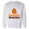 Unisex DryBlend® Crewneck Sweatshirt Thumbnail