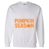 Unisex DryBlend® Crewneck Sweatshirt Thumbnail
