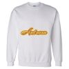 Unisex DryBlend® Crewneck Sweatshirt Thumbnail