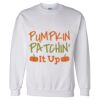 Unisex DryBlend® Crewneck Sweatshirt Thumbnail