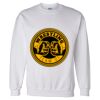 Unisex DryBlend® Crewneck Sweatshirt Thumbnail