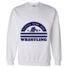 Unisex DryBlend® Crewneck Sweatshirt Thumbnail