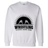 Unisex DryBlend® Crewneck Sweatshirt Thumbnail