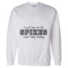 Unisex DryBlend® Crewneck Sweatshirt Thumbnail