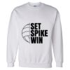 Unisex DryBlend® Crewneck Sweatshirt Thumbnail