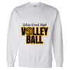 Unisex DryBlend® Crewneck Sweatshirt Thumbnail