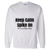 Unisex DryBlend® Crewneck Sweatshirt Thumbnail
