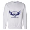 Unisex DryBlend® Crewneck Sweatshirt Thumbnail